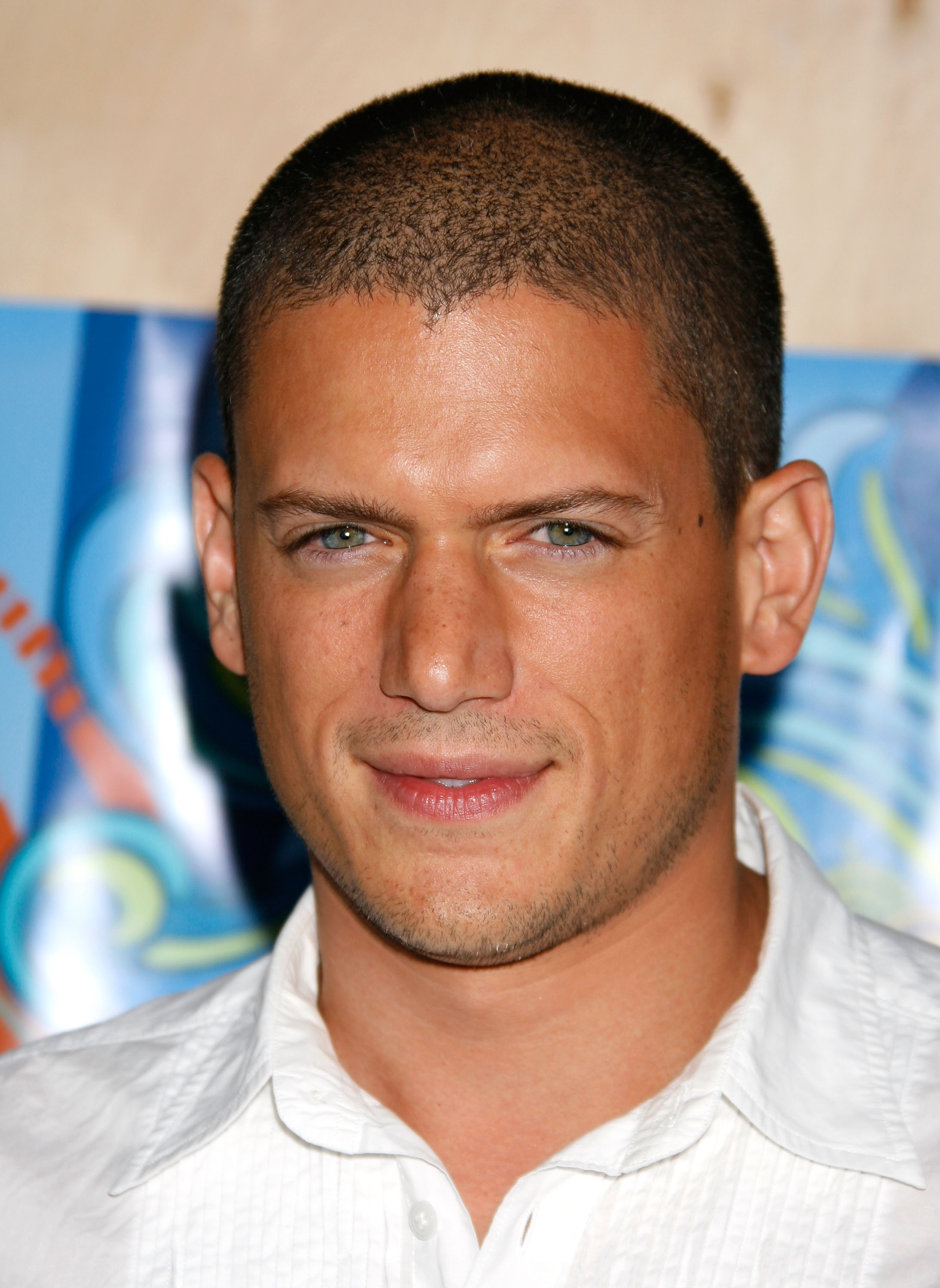 Wentworth Miller à la soirée FOX TCA le 23 juillet 2007 à Santa Monica, Californie. | Source : Getty Images