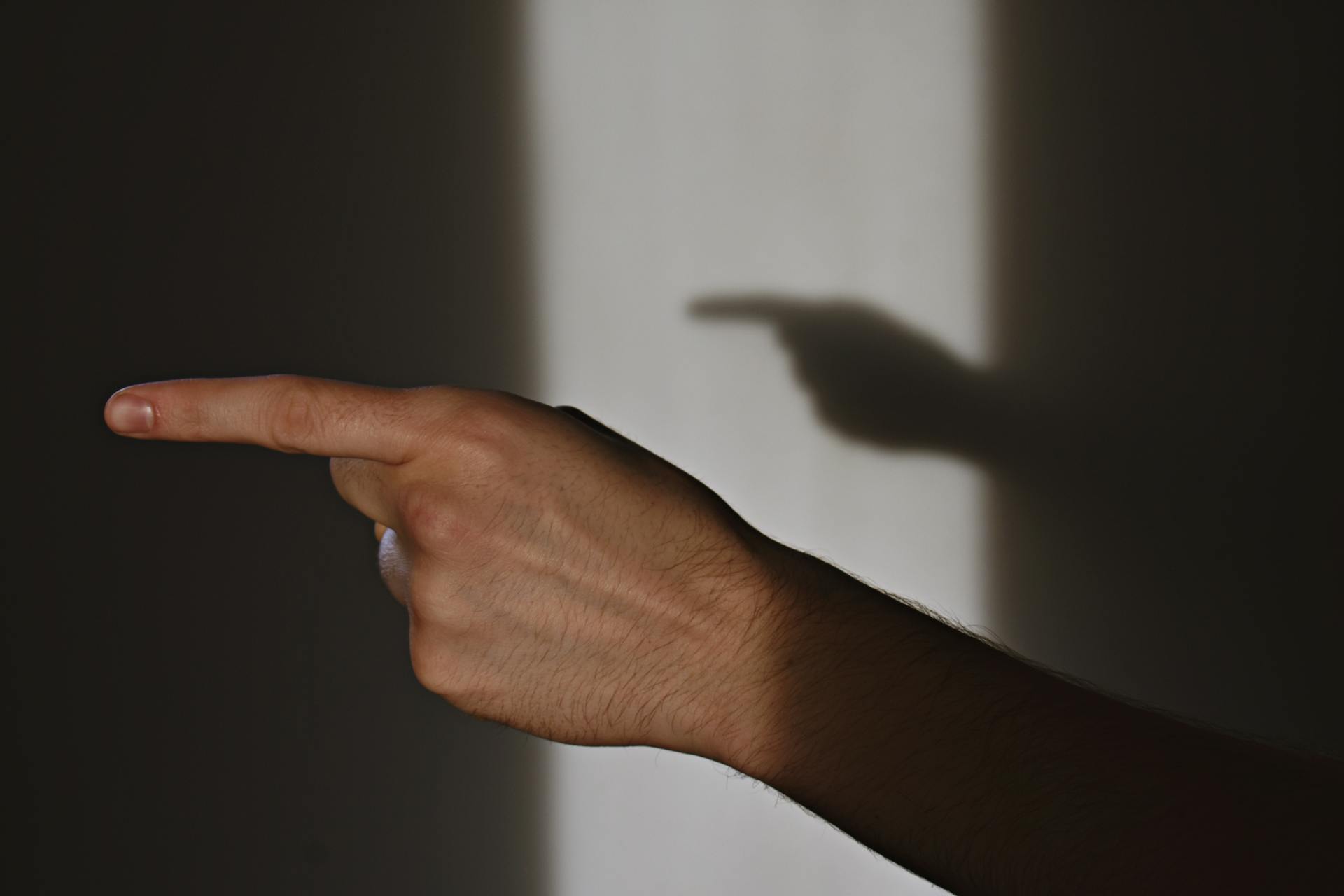 Un homme qui pointe son doigt vers quelqu'un | Source : Pexels