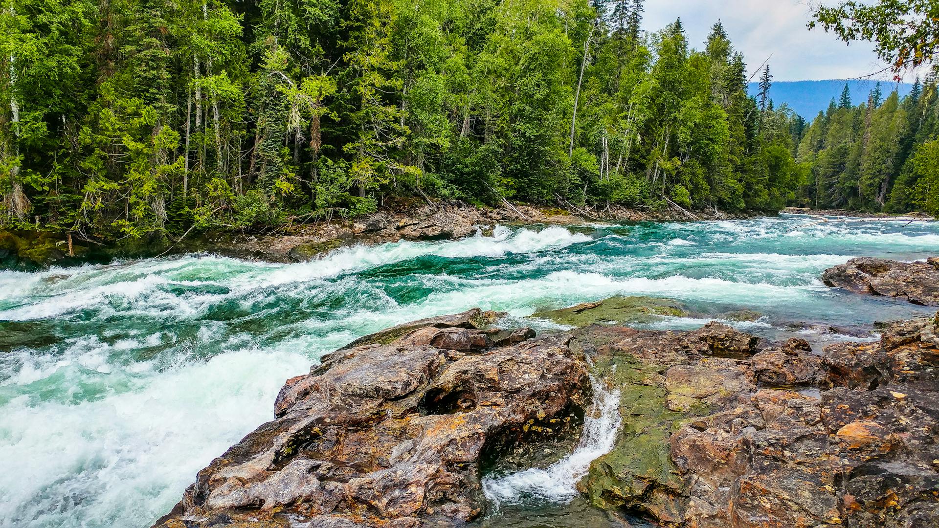 Une rivière | Source : Pexels