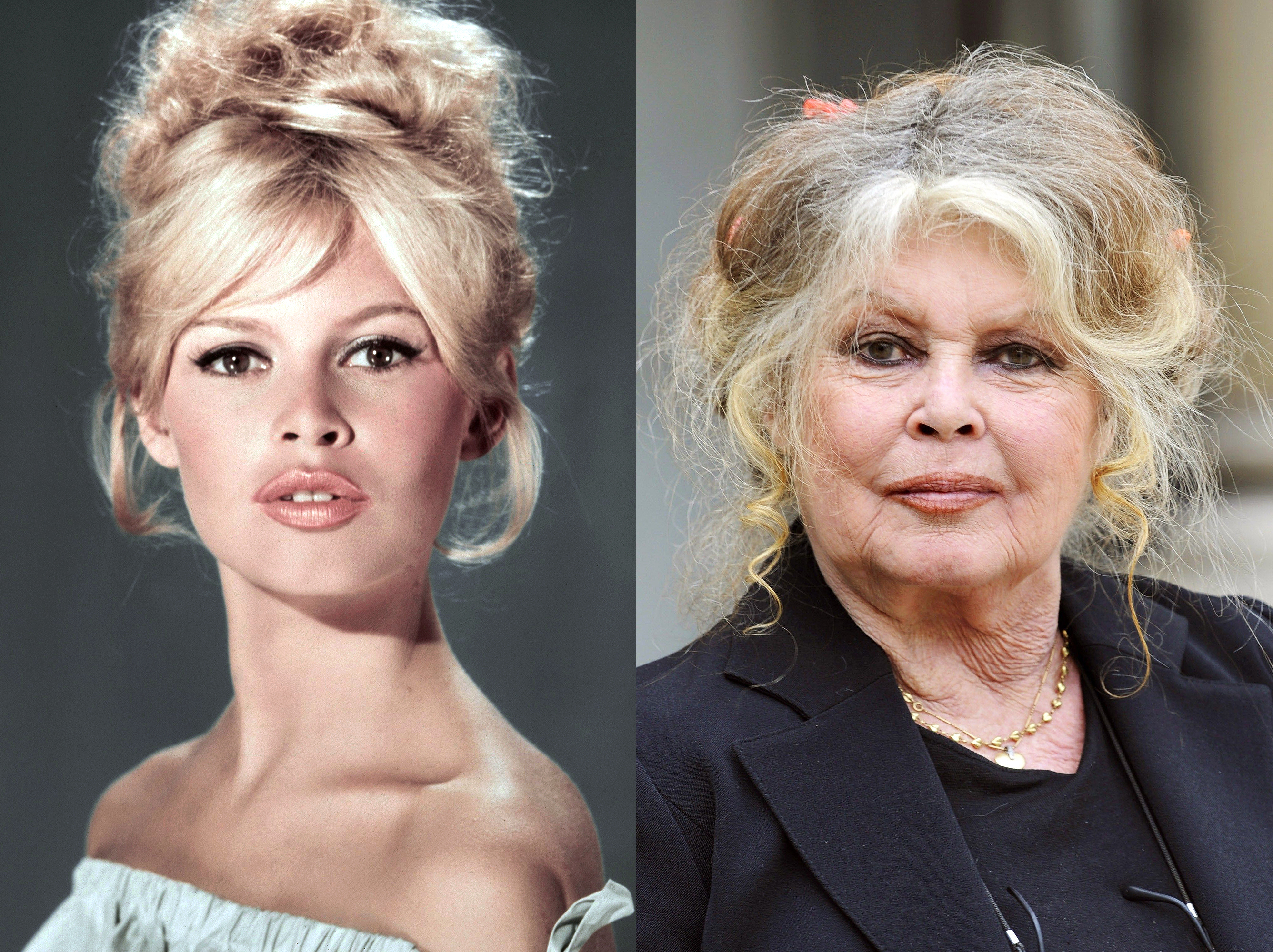 Brigitte Bardot, 1960 | Brigitte Bardot, 2007 | Source : Getty Images