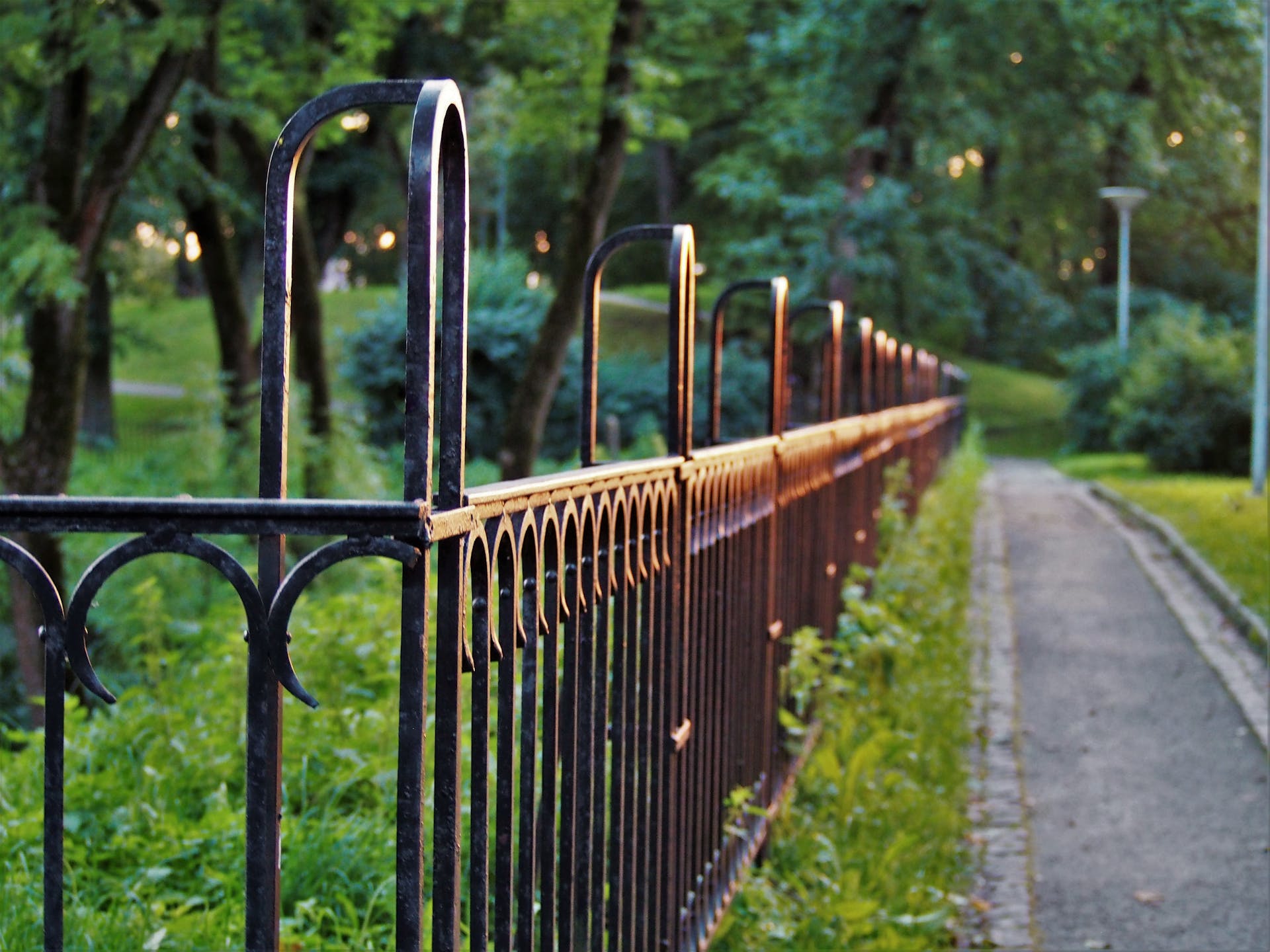 Clôture métallique dans un parc | Source : Pexels