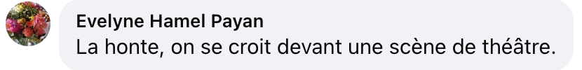 Commentaire d'internaute sur le geste d'Emmanuel Macron | Source : capture facebook.com/parismatchmag