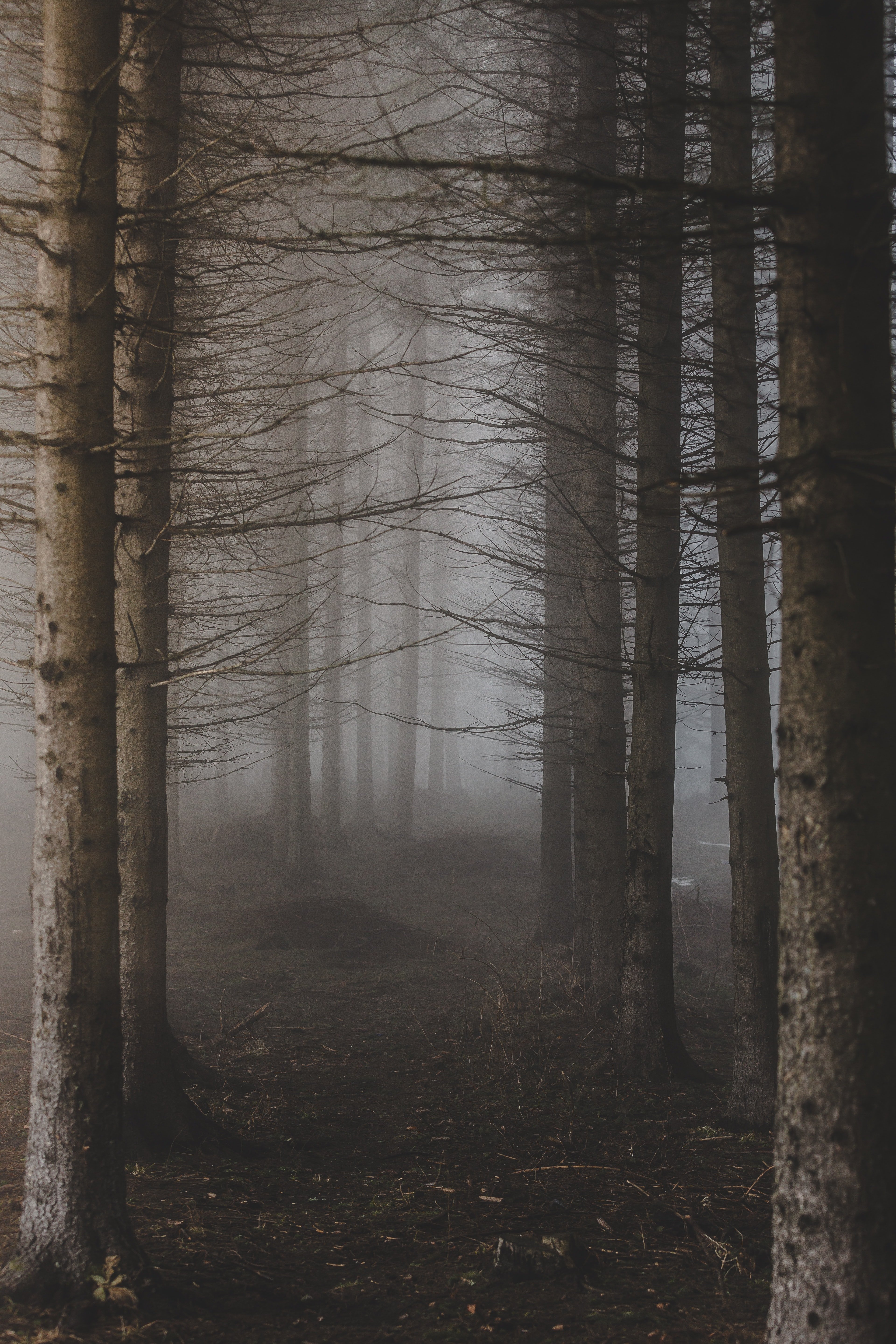 À des fins d'illustration uniquement | Source : Unsplash