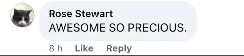 Commentaire d'un fan sur les jumeaux de Julia Roberts, daté du 29 novembre 2023 | Source : Facebook/People