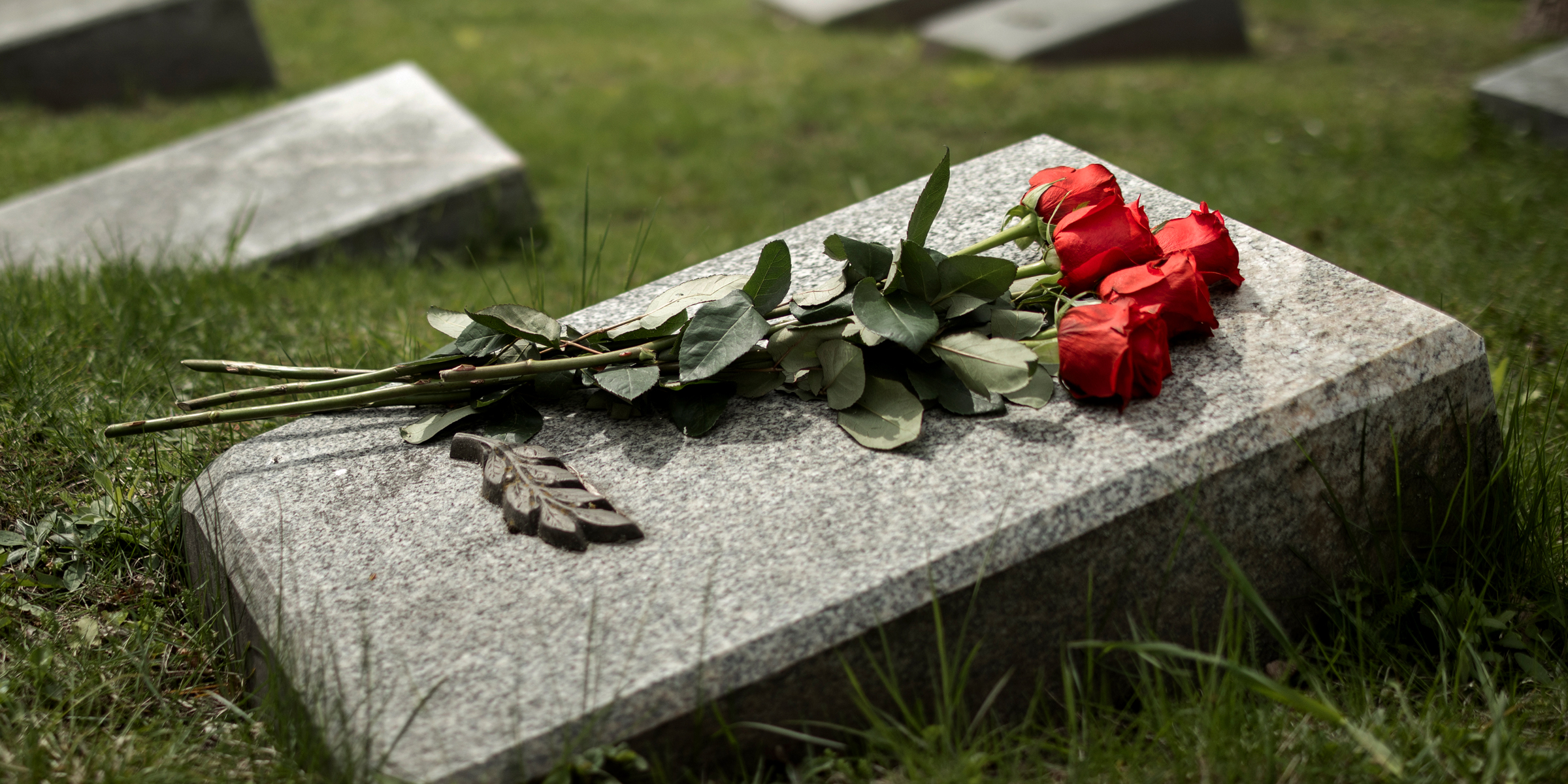 Roses rouges sur une tombe | Source : Freepik