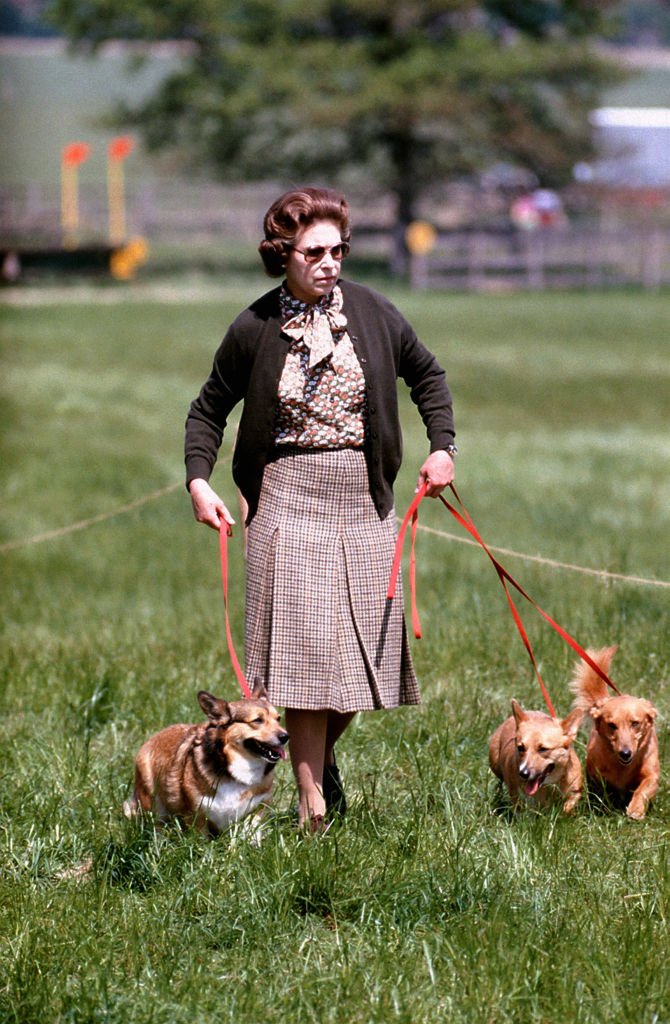 La reine Elizabeth II avec certains de ses corgis marchant sur le parcours de cross-country lors de la deuxième journée des épreuves équestres de Windsor. І Source : Getty Images