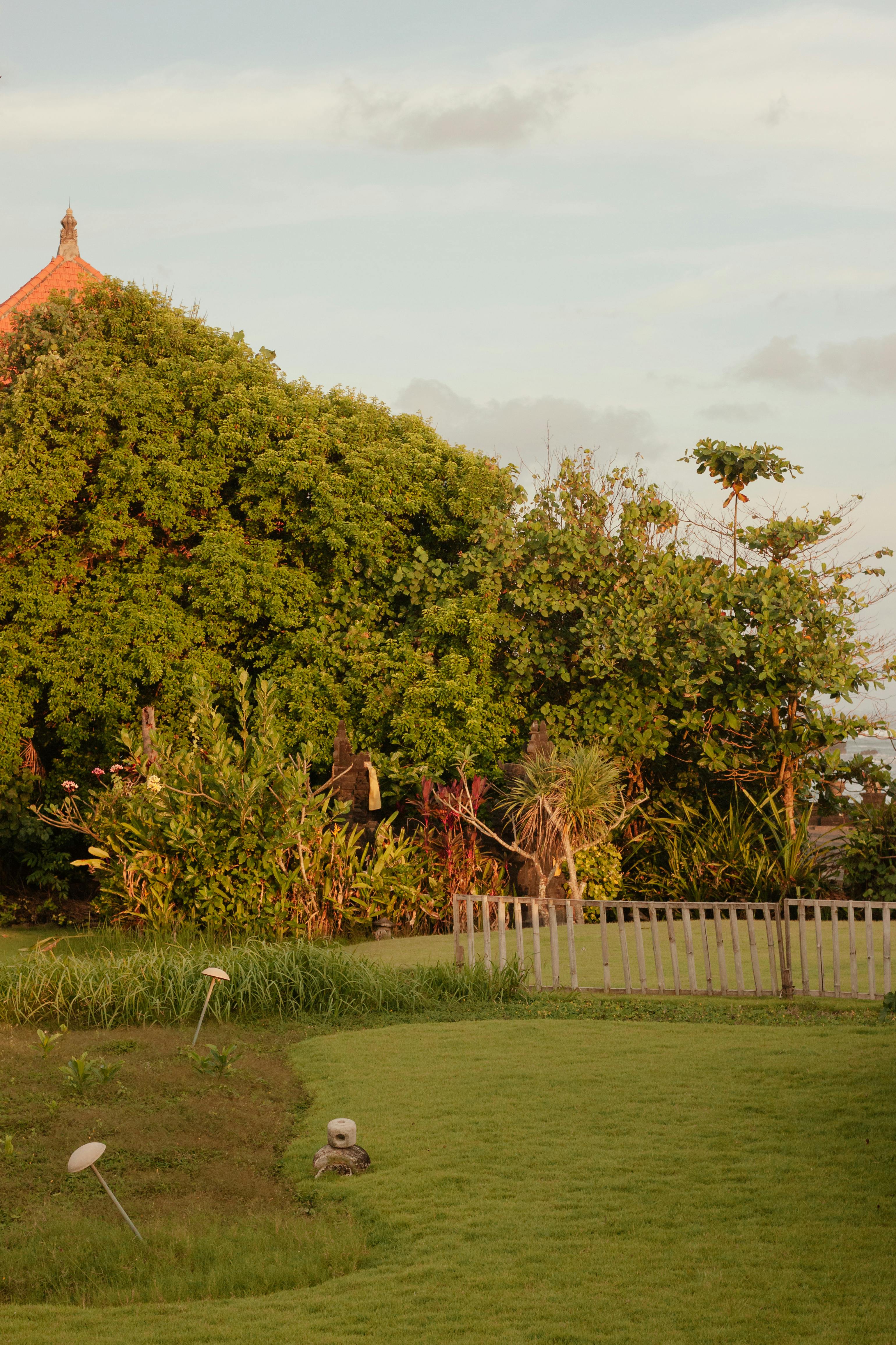 Grand jardin de campagne avec pelouse et gazon | Source : Pexels