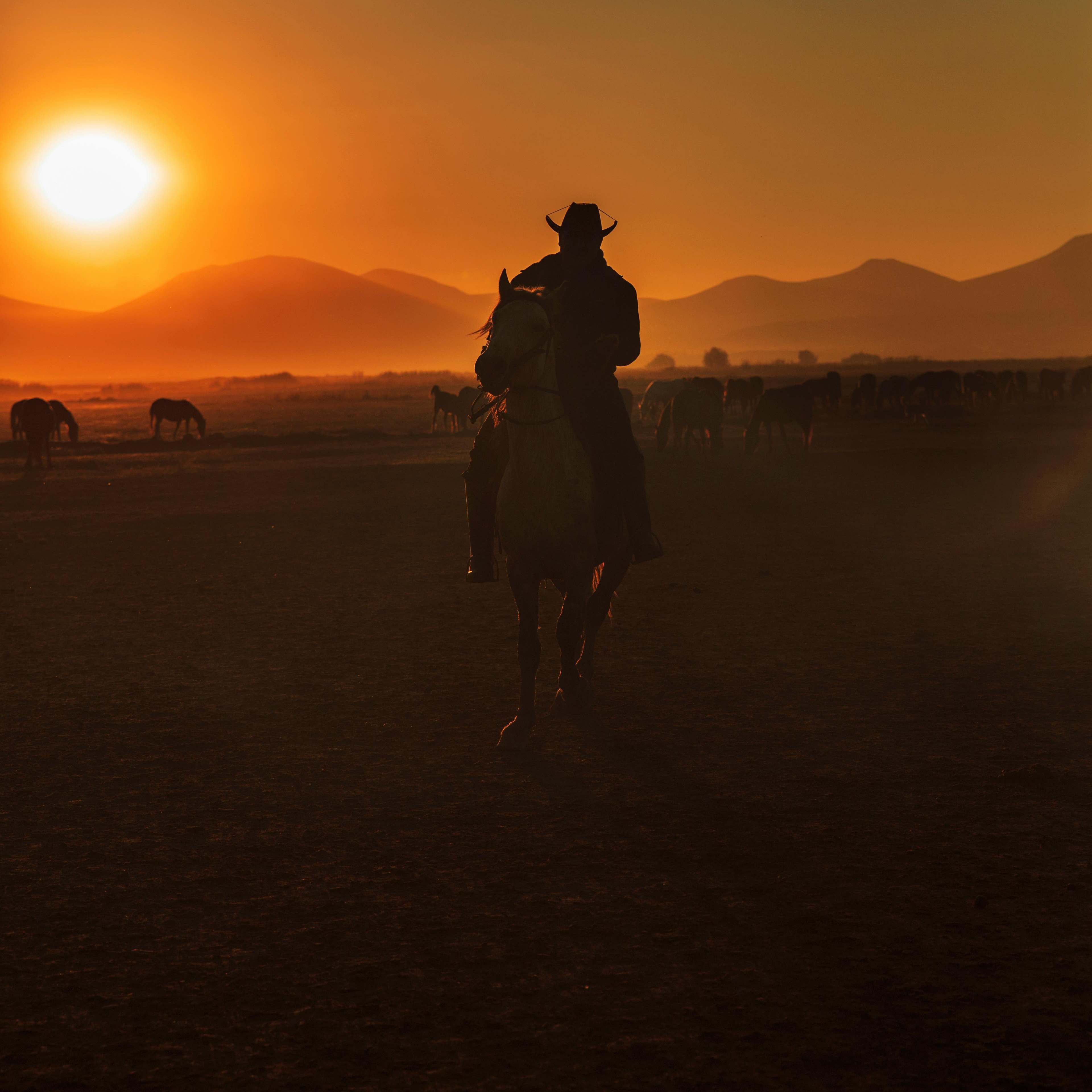 Un cow-boy chevauchant au coucher du soleil | Source : Pexels