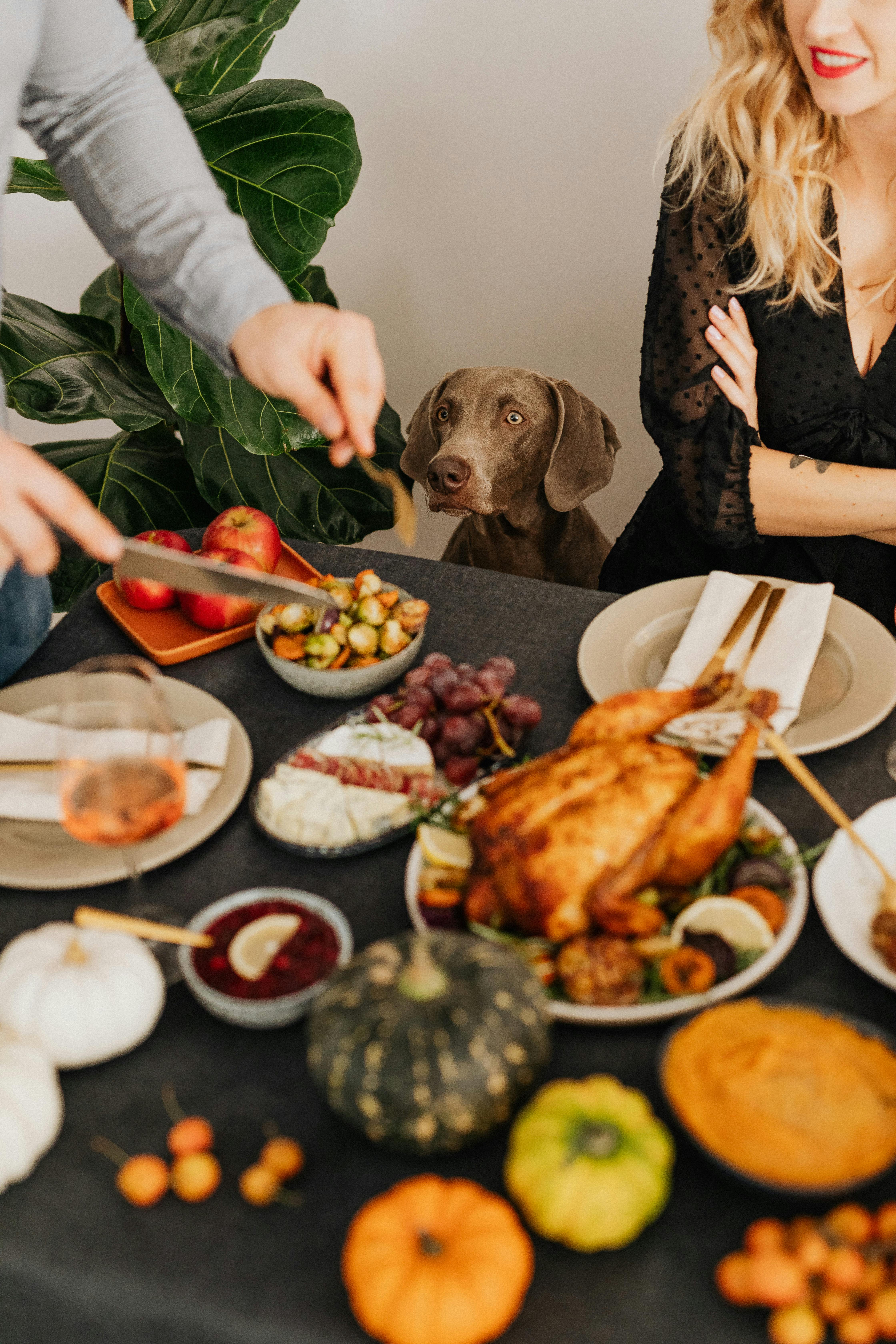 Un homme prenant plus de nourriture pendant qu'une femme et un chien le regardent | Source : Pexels