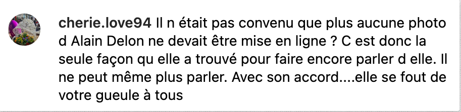 Commentaire d'une internautes sur les clichés d'Alain Delon | Source : capture Instagram @anouchkadelon