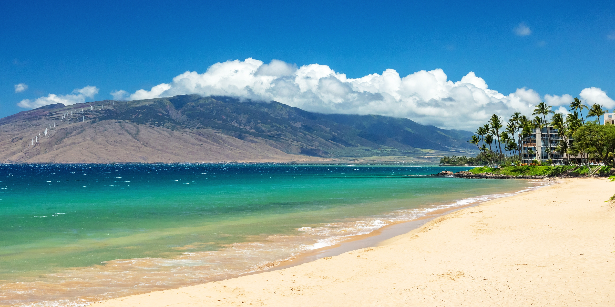 Une belle plage de sable blanc | Source : Shutterstock