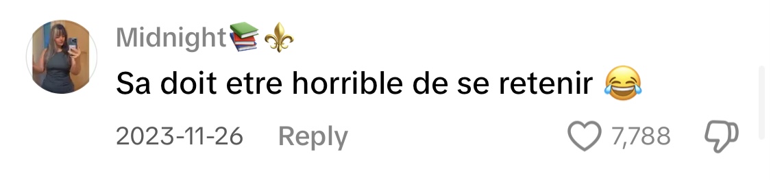 Commentaire d'un internaute | Source : TikTok/memespolitiques