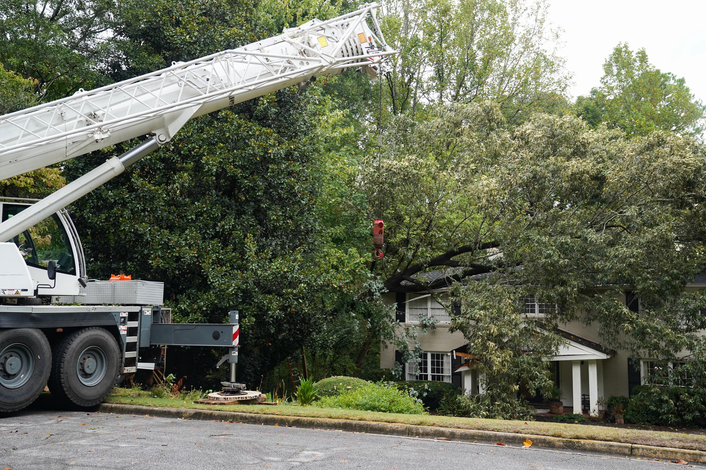 Une équipe d'arboriculteurs travaille à l'enlèvement d'un arbre sur une maison à Buckhead après que l'ouragan Helene a apporté de fortes pluies pendant la nuit à Atlanta, en Géorgie, le 27 septembre 2024 | Source : Getty Images