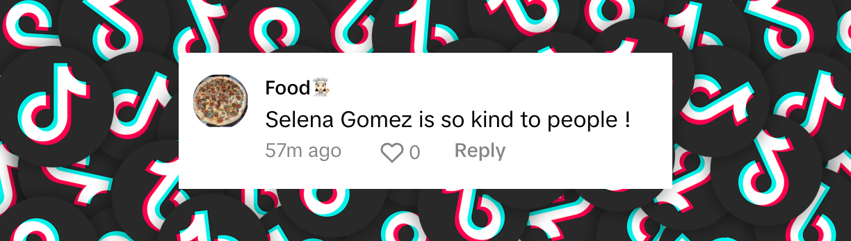 Un commentaire de fan daté du 16 octobre 2024 | Source : TikTok/@tmz