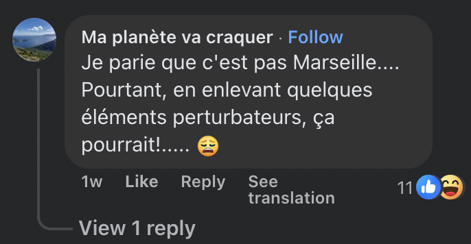 Commentaire d'un internaute | Source : Facebook