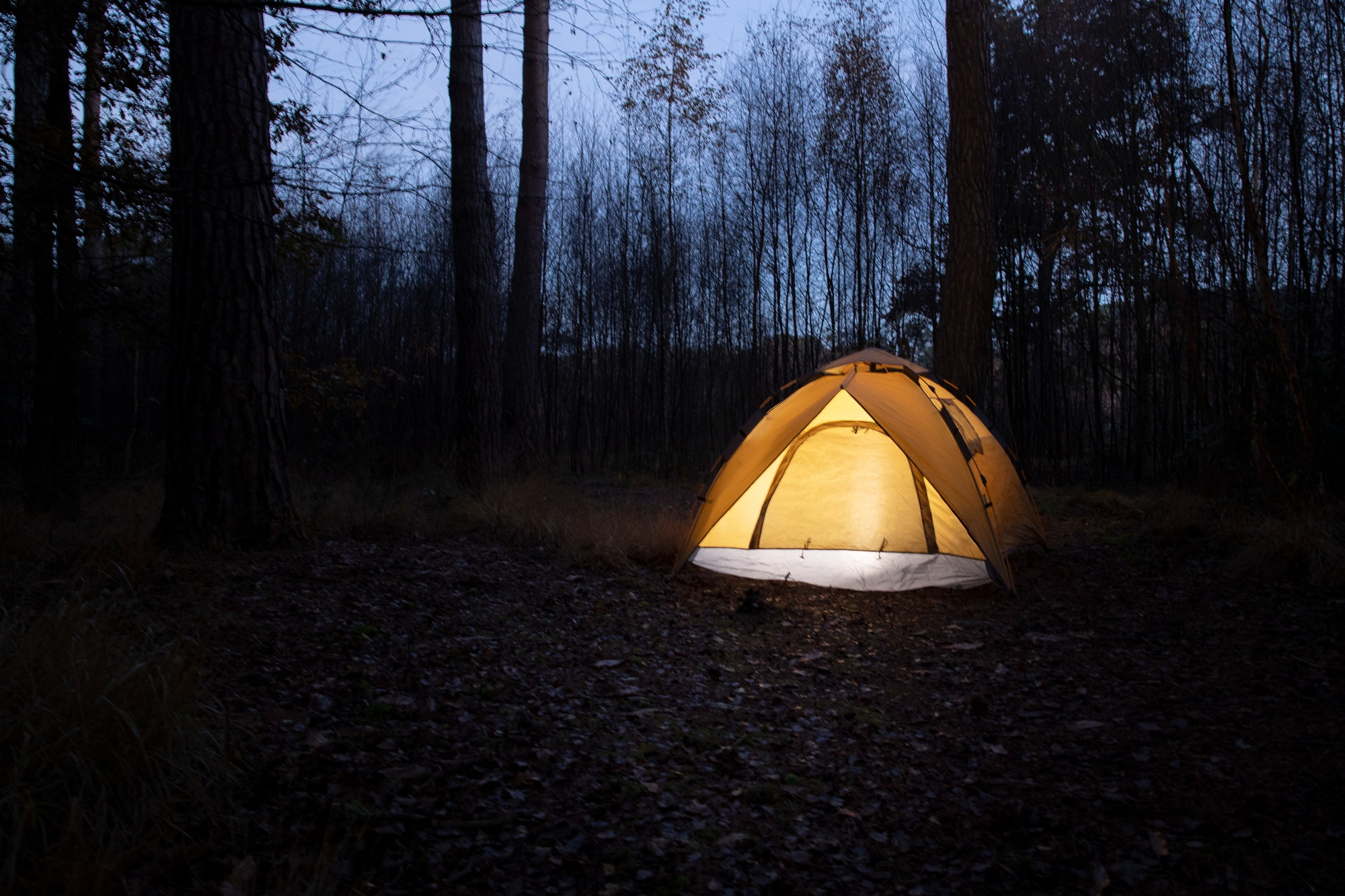 Un camp la nuit | Source : Freepik