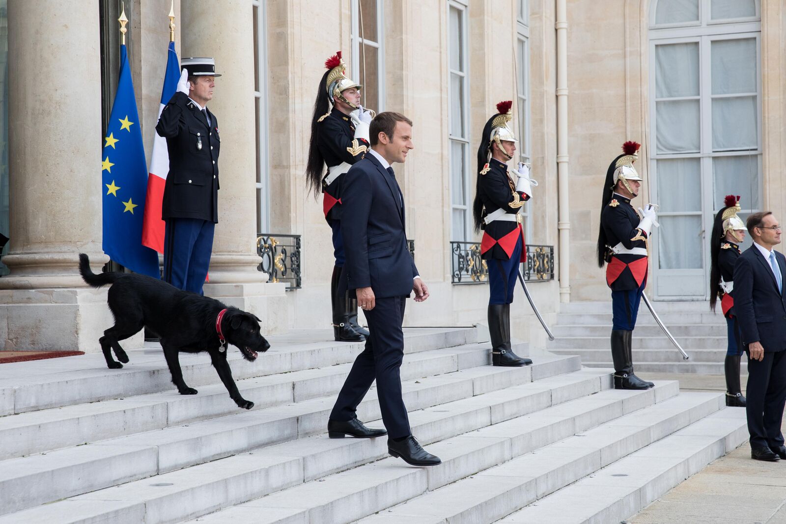 Emmanuel Macron avec son chien Nemo |Source: Getty Images