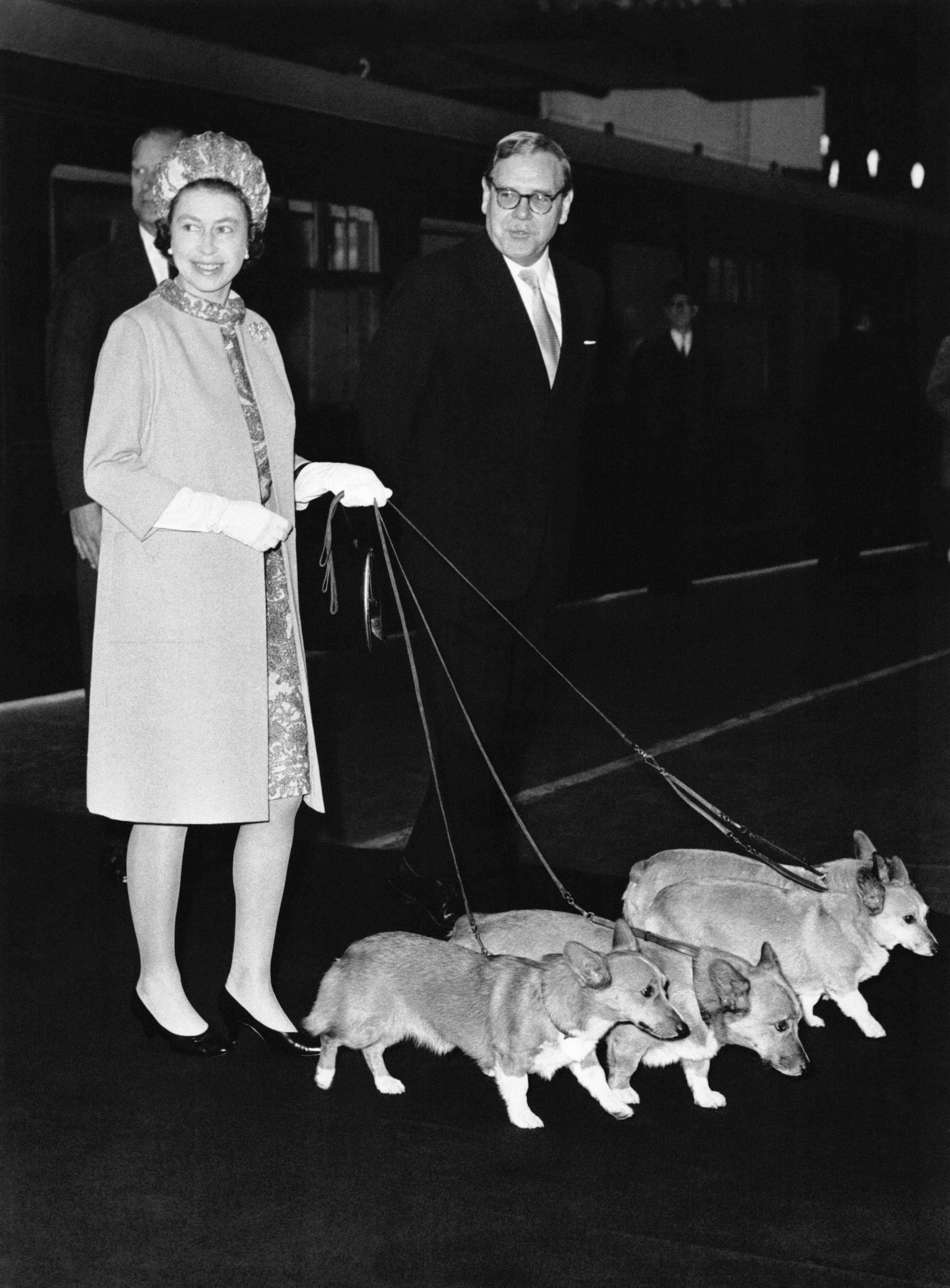 La Reine Elizabeth II avec ses corgis à son retour de Balmoral | Source : Getty Images