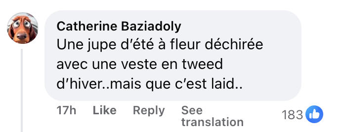 Commentaire d'une internaute au sujet du look de Charlotte Gainsbourg | Source : Facebook/Vanity Fair