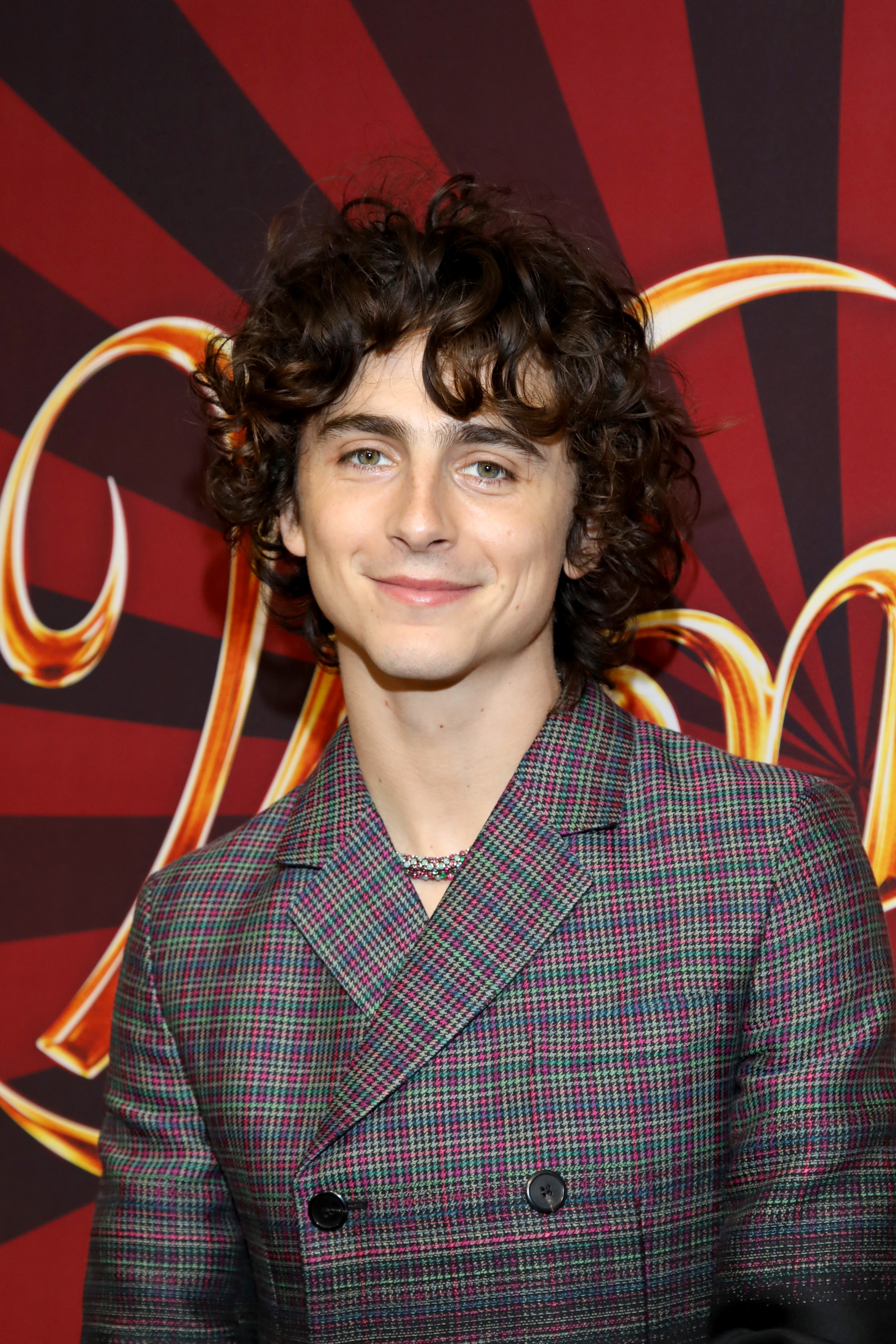 Timothée Chalamet assiste à la projection canadienne des fans de "Wonka" le 13 décembre 2023 à Toronto, en Ontario. | Source : Getty Images