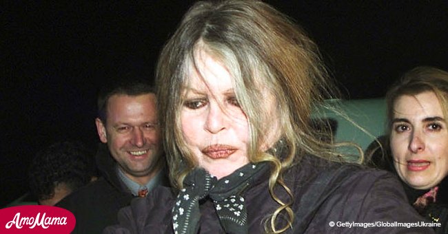 Brigitte Bardot a été ouvertement taclée par un célèbre présentateur de télévision française