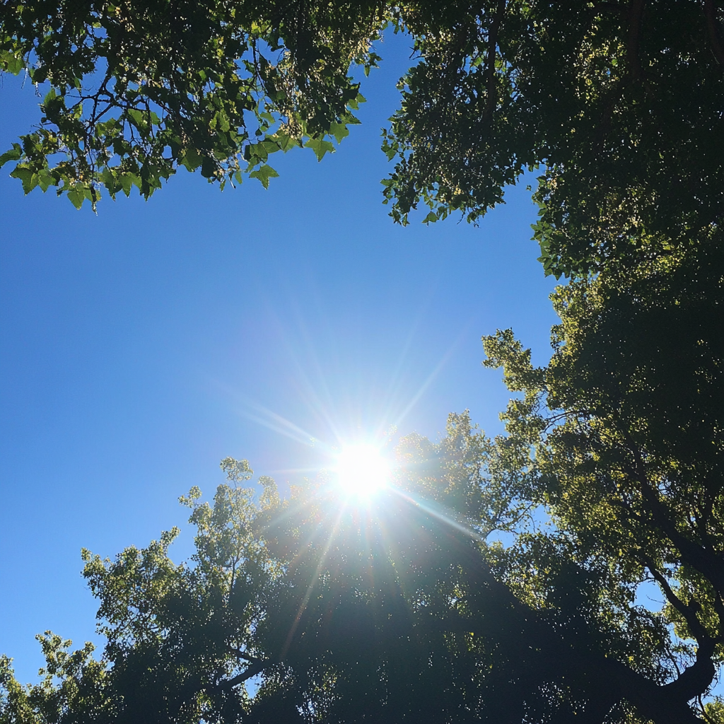 Un jour d'été tranquille | Source : Midjourney