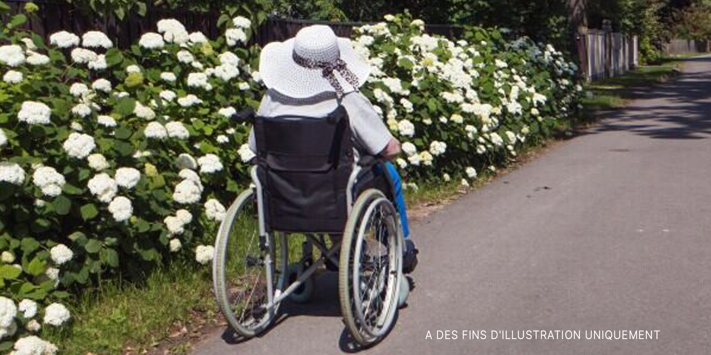 Femme en fauteuil roulant devant des fleurs. | Source : Shutterstock