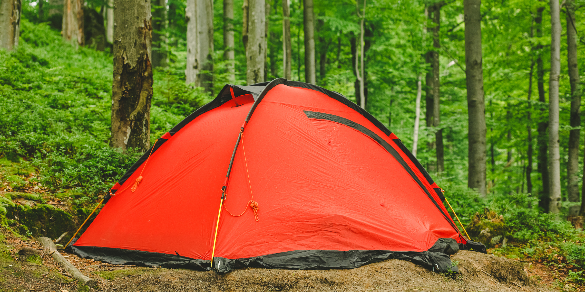 Une tente | Source : Shutterstock