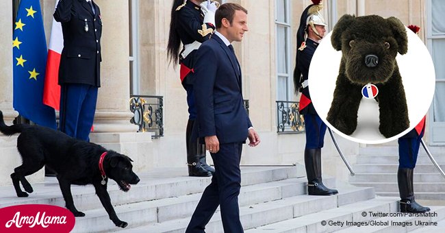 L’Elysée satisfait les fans de Emmanuel Macron, offrant à tout le monde d'obtenir une copie de Nemo pour 99 euros