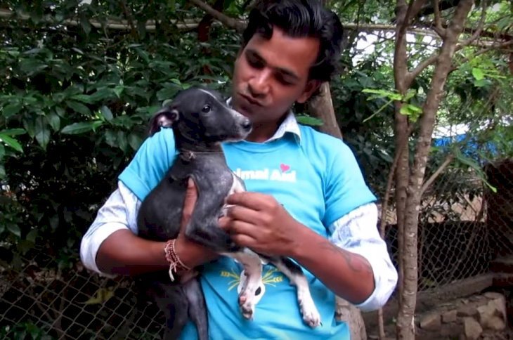 Source: Youtube/Animal Aid Unlimited, India