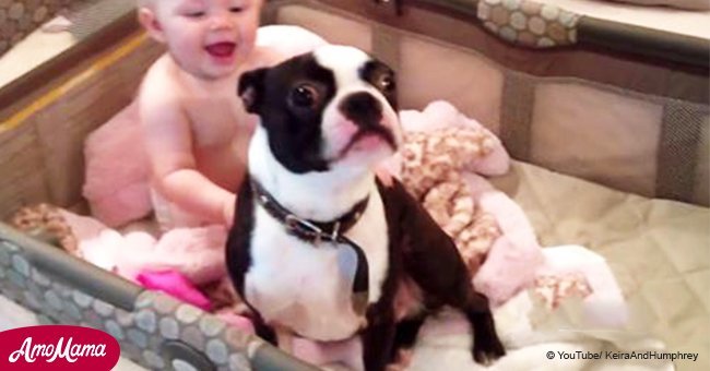 Un chien et une jeune fille ont transformé son berceau en terrain de jeu! Ne sont-ils pas adorables?