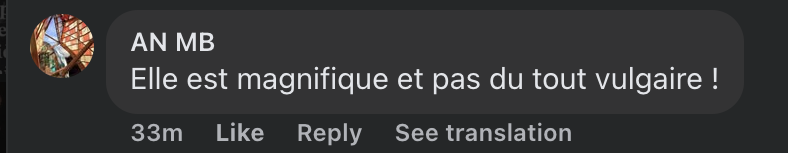 Commentaire d'internaute sur le look d'Iris Mittenaere | Source : capture facebook.com/gala.fr