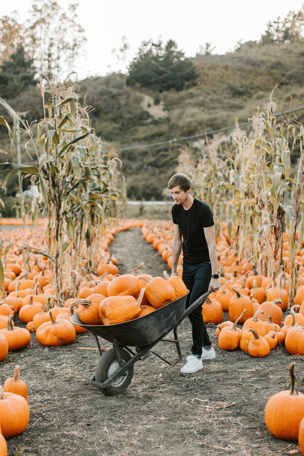 Un homme travaillant dans sa ferme | Source : Pexels