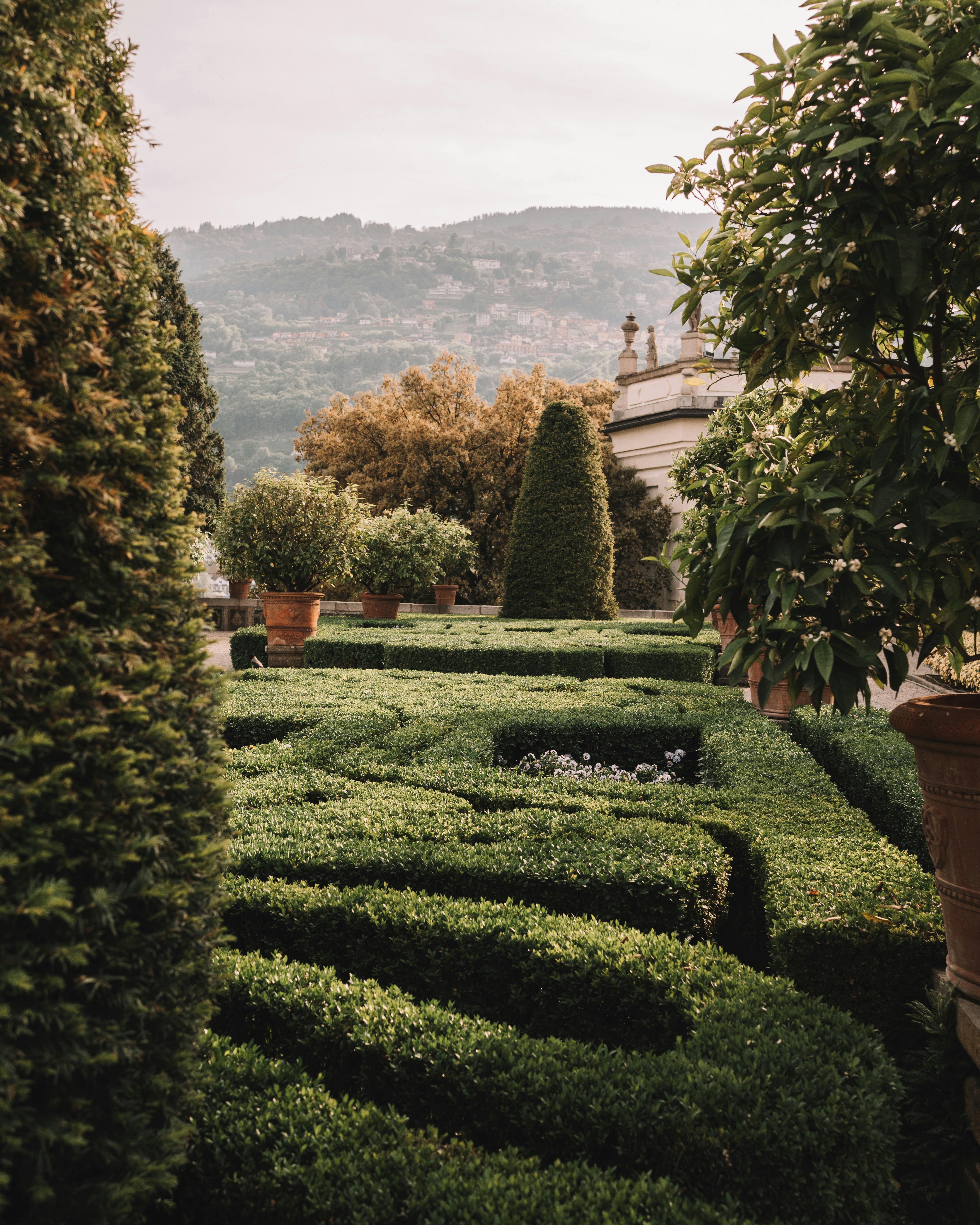 Haies taillées | Source : Pexels