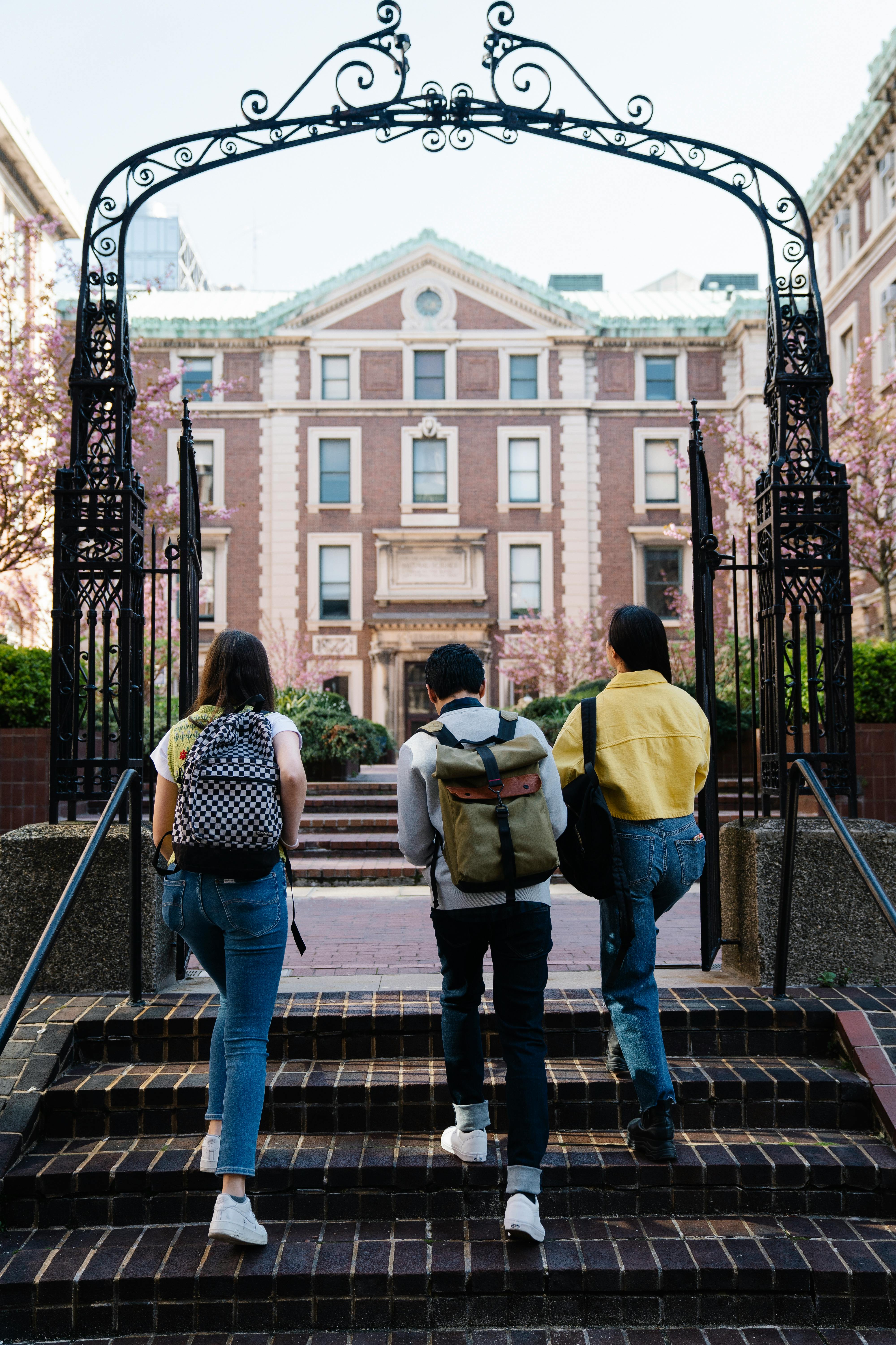 Le campus universitaire animé de Julia | Source : Pexels