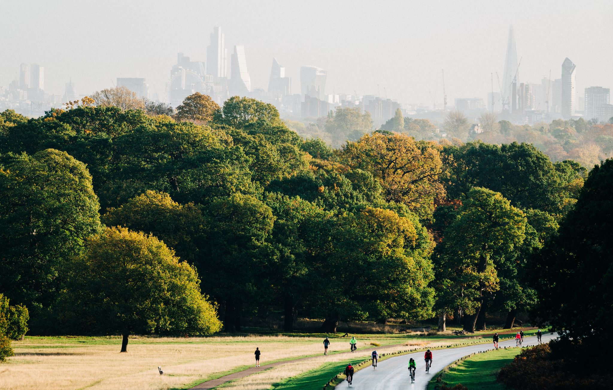 Une vue du parc de Londres pendant la journée. | Source : Getty Images