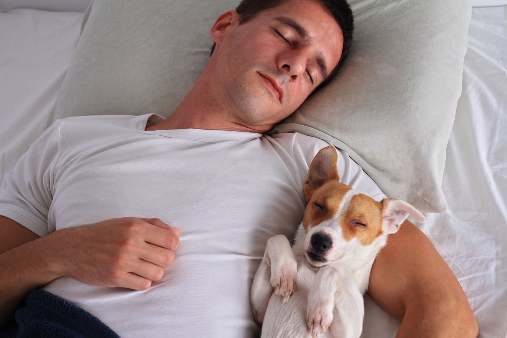Un homme et son chien en train de dormir ensemble. | Shutterstock