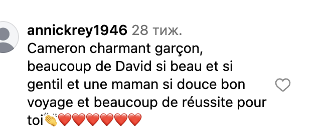 Commentaire d'internaute sur la ressemblance entre David Hallyday et Cameron | Source : Instagram