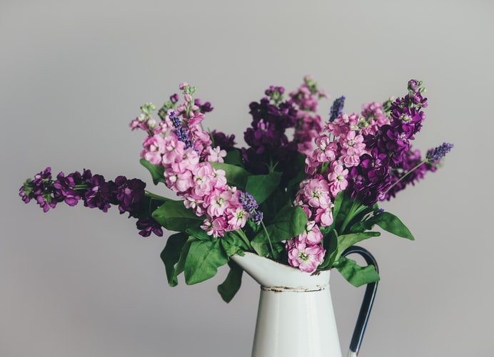 Un bouquet de lilas. | Photo : Unsplash