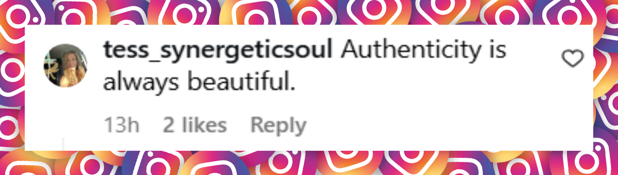 Commentaire d'une internaute sur le selfie de Paulina Porizkova dans la salle de bain téléchargé le 28 juillet 2025 | Source : Instagram/paulinaporizkov