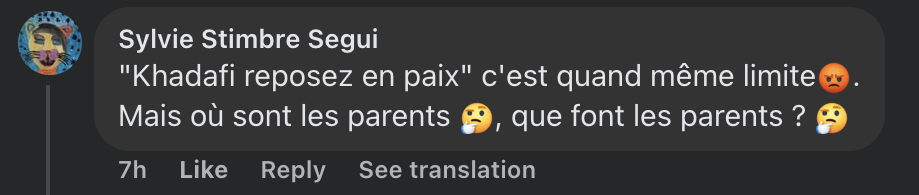 Commentaire d'internaute sur la vidéo de Giulia Sarkozy | Source : TikTok