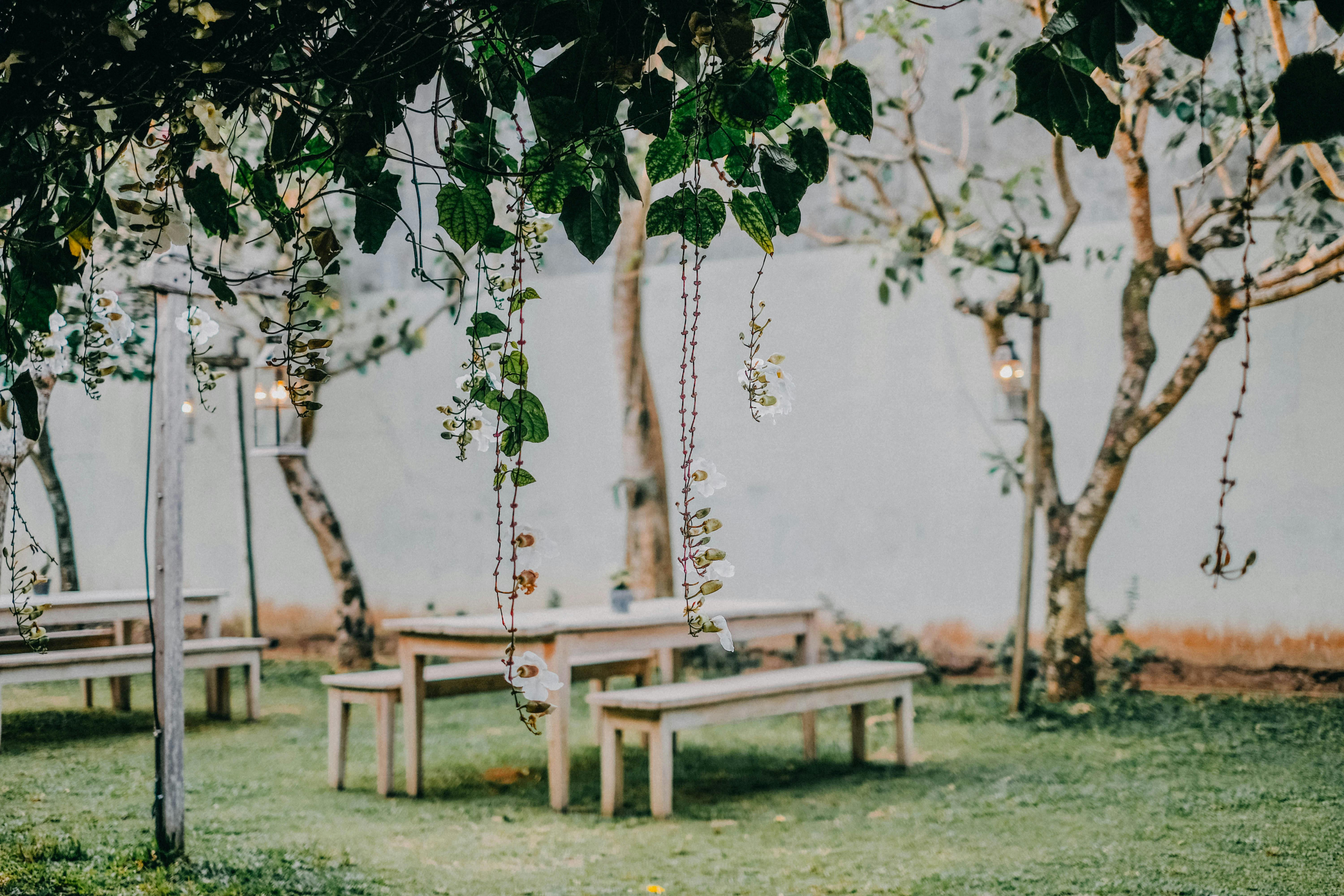 Configuration d'une fête de jardin | Source : Pexels