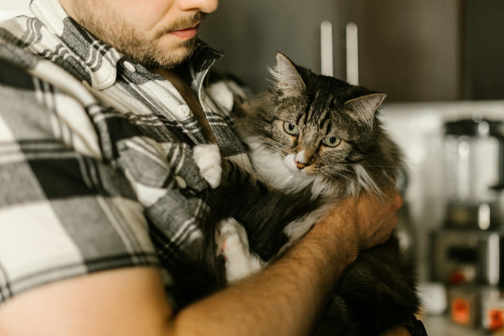 Un homme tenant un chat | Source : Pexels