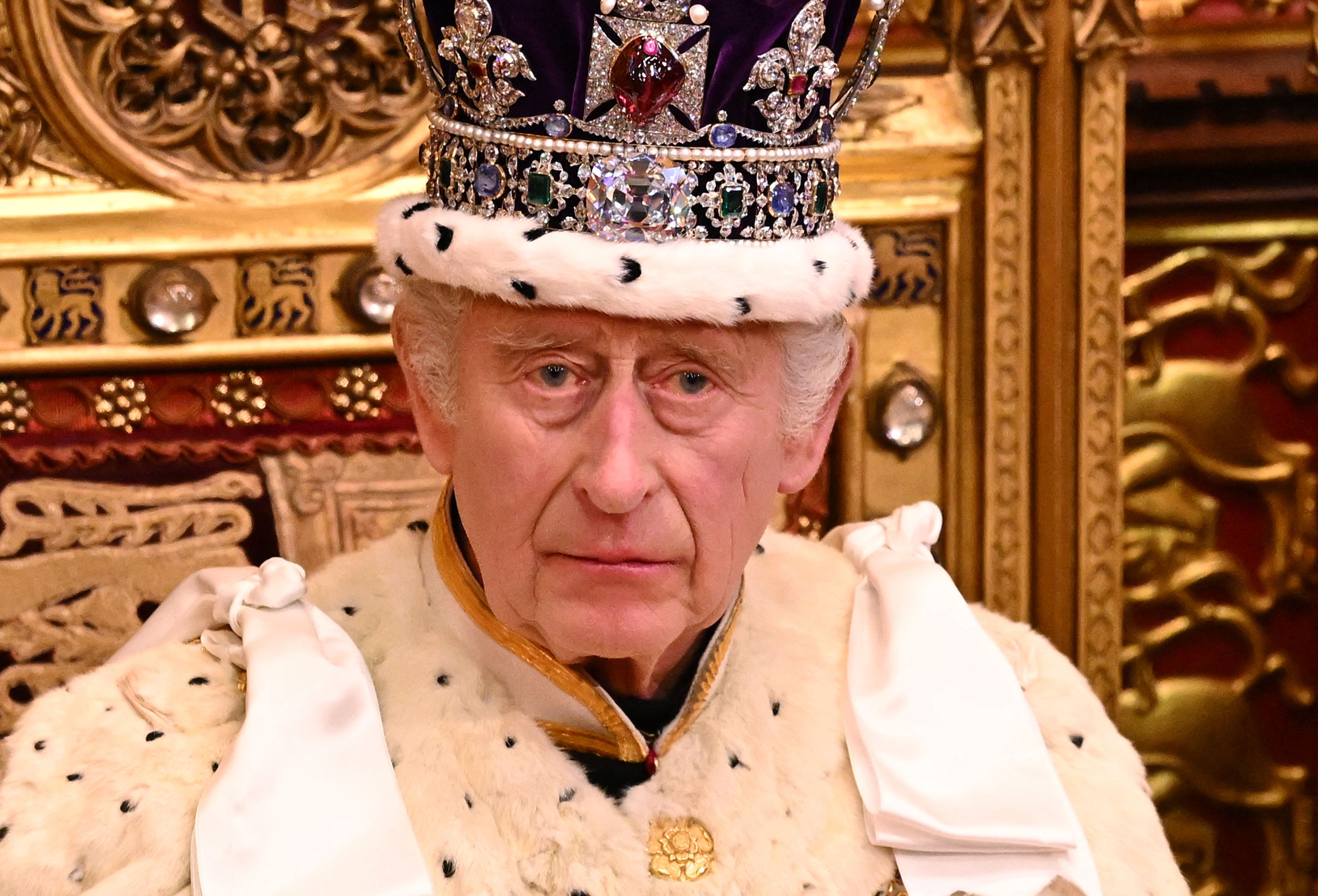 Le roi Charles III lors de l'ouverture officielle du Parlement à Londres, en Angleterre, le 7 novembre 2023 | Source : Getty Images