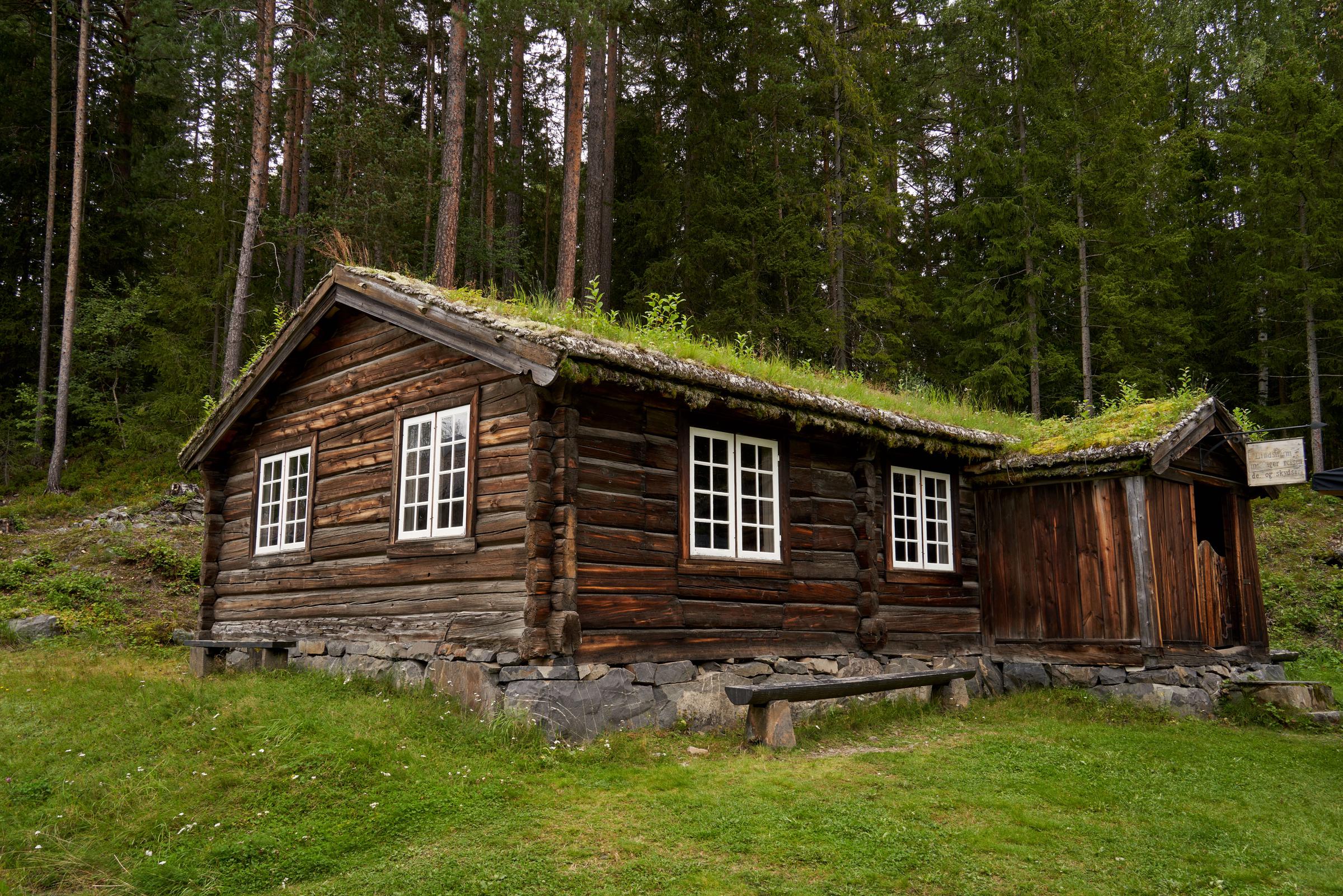 Un chalet dans les bois | Source : Pexels
