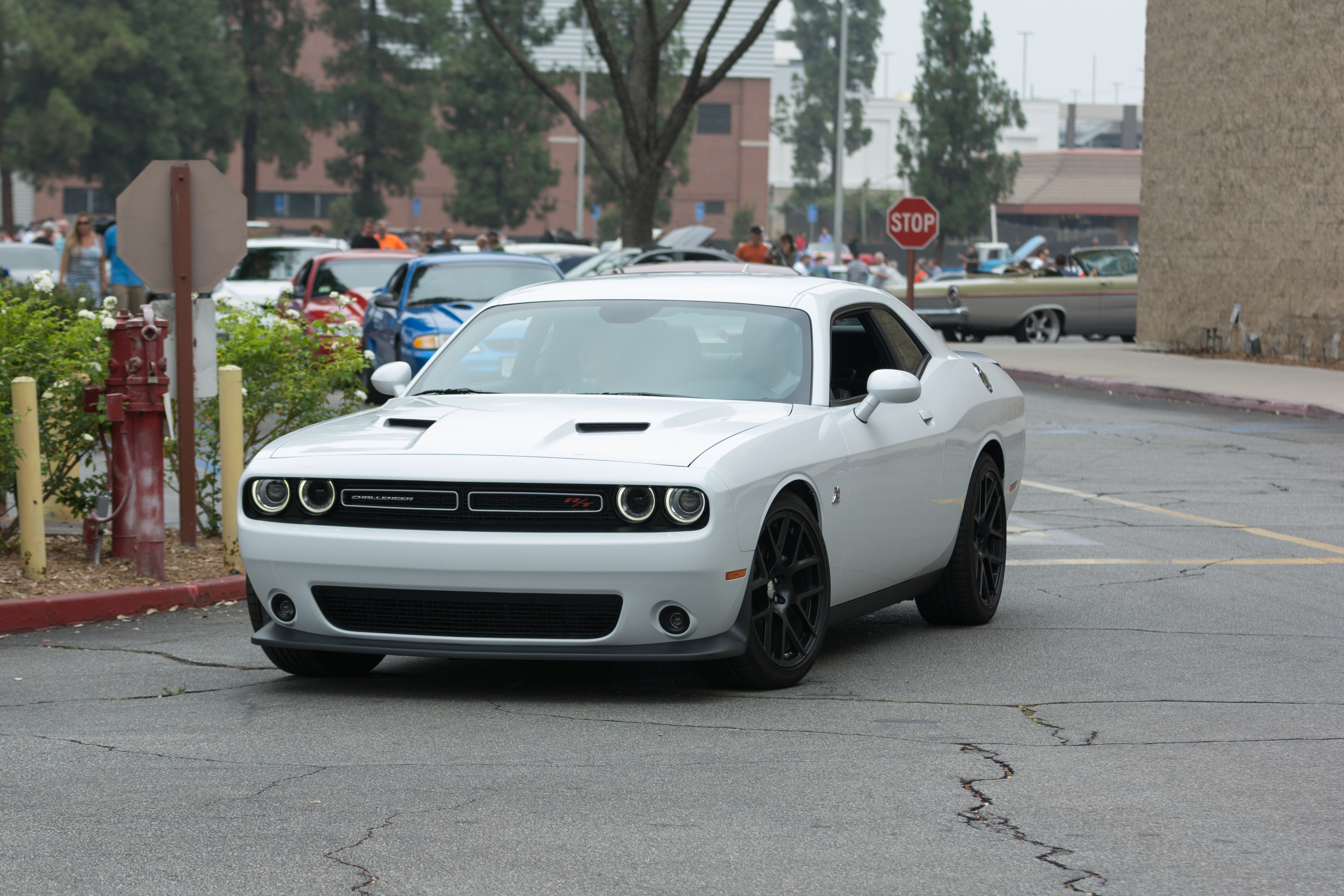 Une voiture Dodge Challenger RT exposée lors de l'événement automobile Supercar Sunday à Woodland Hills, en Californie, le 5 juillet 2015 | Source : Shutterstock