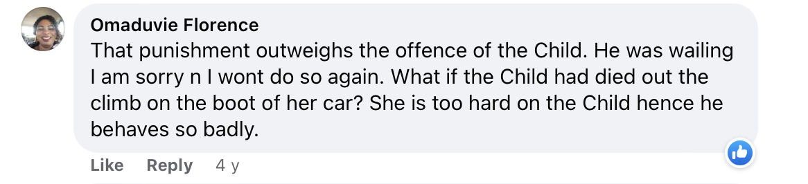 La majorité des internautes ont manifesté leur soutien au petit garçon dans la section des commentaires sur Facebook. | Source : facebook.com/DailyMail