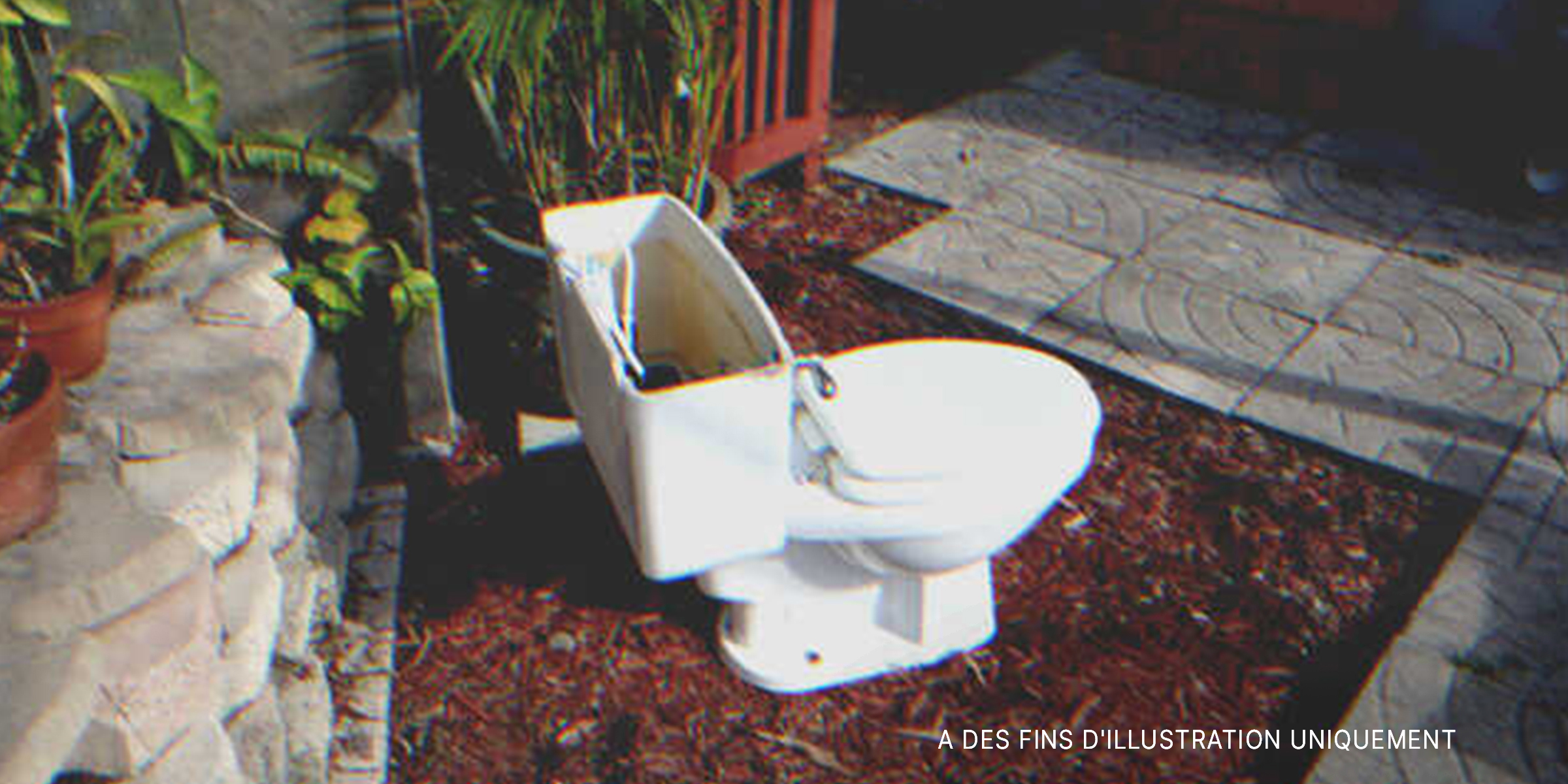 Toilette mise en vente | Source : Flickr / osseous