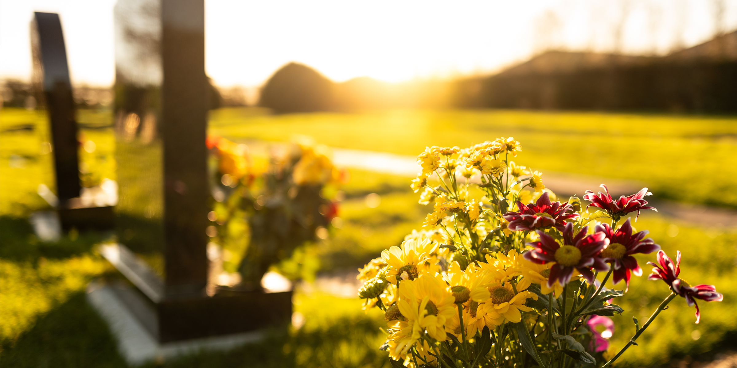 Un coucher de soleil sur un cimetière | Source : Shutterstock