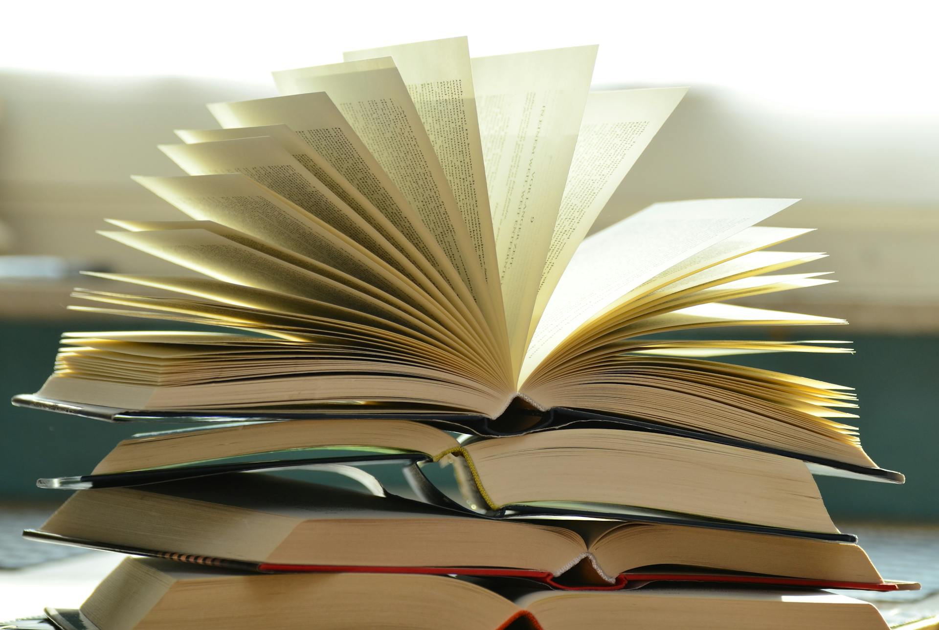un livre | Source : Pexels